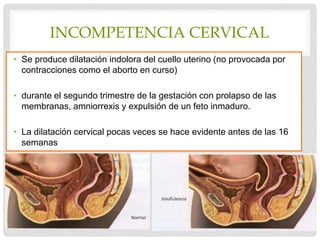 INCOMPETENCIA CERVICAL
• Se produce dilatación indolora del cuello uterino (no provocada por
contracciones como el aborto en curso)
• durante el segundo trimestre de la gestación con prolapso de las
membranas, amniorrexis y expulsión de un feto inmaduro.
• La dilatación cervical pocas veces se hace evidente antes de las 16
semanas
 