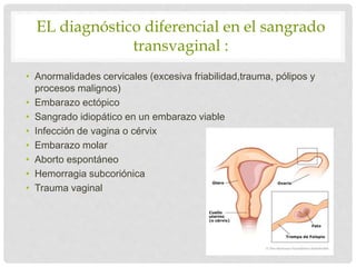 EL diagnóstico diferencial en el sangrado
transvaginal :
• Anormalidades cervicales (excesiva friabilidad,trauma, pólipos y
procesos malignos)
• Embarazo ectópico
• Sangrado idiopático en un embarazo viable
• Infección de vagina o cérvix
• Embarazo molar
• Aborto espontáneo
• Hemorragia subcoriónica
• Trauma vaginal
 