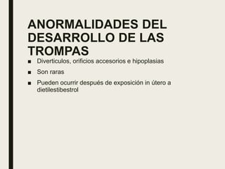 ANORMALIDADES DEL
DESARROLLO DE LAS
TROMPAS
■ Diverticulos, orificios accesorios e hipoplasias
■ Son raras
■ Pueden ocurrir después de exposición in útero a
dietilestibestrol
 