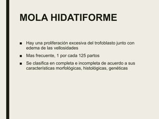 MOLA HIDATIFORME
■ Hay una proliferación excesiva del trofoblasto junto con
edema de las vellosidades
■ Mas frecuente, 1 por cada 125 partos
■ Se clasifica en completa e incompleta de acuerdo a sus
características morfológicas, histológicas, genéticas
 