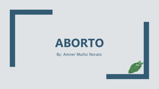 ABORTO
By: Amner Muñiz Norato
 