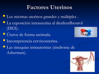 Factores Uterinos
Factores Uterinos
 Los miomas uterinos grandes y múltiples .
 La exposición intrauterina al dietilestilbestrol
(DES).
 Úteros de forma anómala.
 Incompetencia cervicouterina.
 Las sinequias intrauterinas (síndrome de
Asherman).
 
