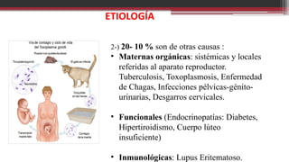 2-) 20- 10 % son de otras causas :
• Maternas orgánicas: sistémicas y locales
referidas al aparato reproductor.
Tuberculosis, Toxoplasmosis, Enfermedad
de Chagas, Infecciones pélvicas-génito-
urinarias, Desgarros cervicales.
• Funcionales (Endocrinopatías: Diabetes,
Hipertiroidismo, Cuerpo lúteo
insuficiente)
• Inmunológicas: Lupus Eritematoso.
 