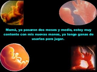 Mamá, ya pasaron dos meses y medio, estoy muy contento con mis nuevas manos, ya tengo ganas de usarlas para jugar.  