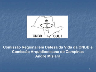 1
Comissão Regional em Defesa da Vida da CNBB e
Comissão Arquidiocesana de Campinas
André Misiara
 