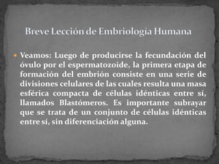 Breve Lección de Embriología HumanaVeamos: Luego de producirse la fecundación del óvulo por el espermatozoide, la primera etapa de formación del embrión consiste en una serie de divisiones celulares de las cuales resulta una masa esférica compacta de células idénticas entre sí, llamados Blastómeros. Es importante subrayar que se trata de un conjunto de células idénticas entre sí, sin diferenciación alguna.