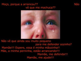Não vê que ainda sou muito pequeno  para me defender sozinho? Mamãe!!! Espere, essa é minha mãozinha!!  Mãe, a minha perninha, estão arrancando!!!  Mamãe, me defenda!!! Mamãe, me ajude!!! Moço, porque a arrancou??  Não vê que me machuca?? 