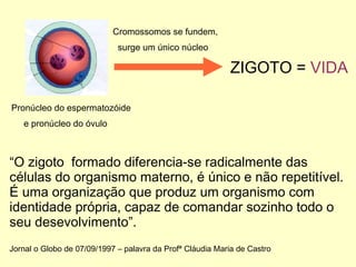 ZIGOTO =  VIDA Pronúcleo do espermatozóide  e pronúcleo do óvulo Cromossomos se fundem,  surge um único núcleo “ O zigoto  formado diferencia-se radicalmente das células do organismo materno, é único e não repetitível. É uma organização que produz um organismo com identidade própria, capaz de comandar sozinho todo o seu desevolvimento”. Jornal o Globo de 07/09/1997 – palavra da Profª Cláudia Maria de Castro 