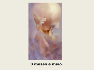 3 meses e meio
 
