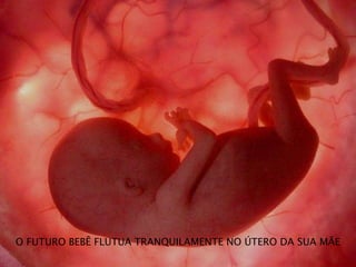 O FUTURO BEBÊ FLUTUA TRANQUILAMENTE NO ÚTERO DA SUA MÃE
 