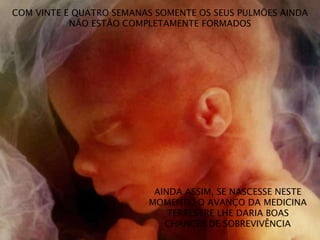 COM VINTE E QUATRO SEMANAS SOMENTE OS SEUS PULMÕES AINDA
NÃO ESTÃO COMPLETAMENTE FORMADOS
AINDA ASSIM, SE NASCESSE NESTE
MOMENTO O AVANÇO DA MEDICINA
TERRESTRE LHE DARIA BOAS
CHANCES DE SOBREVIVÊNCIA
 