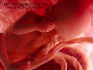 ESTÁ CADA VEZ MAIS CONSCIENTE
DO ESPAÇO QUE O RODEIA
 