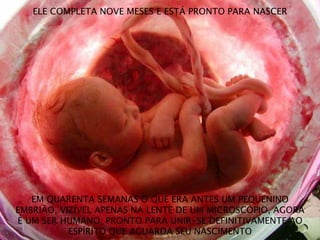 ELE COMPLETA NOVE MESES E ESTÁ PRONTO PARA NASCER
EM QUARENTA SEMANAS O QUE ERA ANTES UM PEQUENINO
EMBRIÃO, VIZÍVEL APENAS NA LENTE DE UM MICROSCÓPIO, AGORA
É UM SER HUMANO, PRONTO PARA UNIR-SE DEFINITIVAMENTE AO
ESPÍRITO QUE AGUARDA SEU NASCIMENTO
 