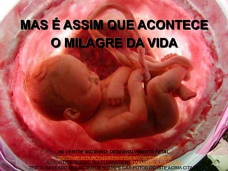 MAS É ASSIM QUE ACONTECE
O MILAGRE DA VIDA
NO VENTRE MATERNO: DESENVOLVIMENTO FETAL.
http://mujer.terra.es/muj/padres/embarazo/vientrematerno/
AUTOR DOS SLIDES: RIA ELLWANGER RIAELLW@GLOBO.COM
TEXTO: BASEADO NAS NOTAS DE RODAPÉ DAS FOTOS DO SITE ACIMA CITADO
 