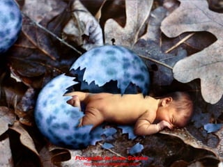 Fotografia de Anne Geddes
http://www.annegeddes.com/
 