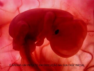 É APENAS UM PROJETO EM EXECUÇÃO NA SUA FASE INICIAL
 