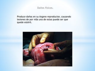 Daños físicos. 
Produce daños en su órgano reproductor, causando 
lesiones de por vida una de estas puede ser que 
quede estéril. 
 