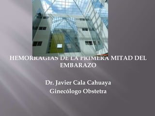 HEMORRAGIAS DE LA PRIMERA MITAD DEL
EMBARAZO
Dr. Javier Cala Cahuaya
Ginecólogo Obstetra
 