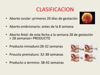 CLASIFICACION
• Aborto ovular: primeros 20 días de gestación
• Aborto embrionario: antes de la 8 semana
• Aborto fetal: de esta fecha a la semana 28 de gestación
> 28 semanas= PRODUCTO
• Producto inmaduro:28-32 semanas
• Proucto prematuro: 32-38 semanas
• Producto a termino: 38-42 semanas
 