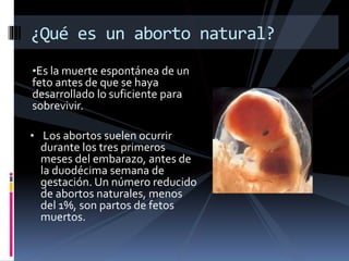 ¿Qué es un aborto natural? 
•Es la muerte espontánea de un 
feto antes de que se haya 
desarrollado lo suficiente para 
sobrevivir. 
• Los abortos suelen ocurrir 
durante los tres primeros 
meses del embarazo, antes de 
la duodécima semana de 
gestación. Un número reducido 
de abortos naturales, menos 
del 1%, son partos de fetos 
muertos. 
 