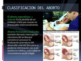 CLASIFICACION DEL ABORTO 
El aborto espontáneo o 
natural: Es la pérdida de un 
embrión o feto por causas no 
provocadas intencionalmente. 
Aborto Provocado o Inducido: 
también llamado interrupción 
voluntaria del embarazo 
consiste en provocar la 
finalización prematura del 
desarrollo vital del feto para su 
posterior eliminación con o sin 
asistencia médica, y en cualquier 
circunstancia social o legal. 
 