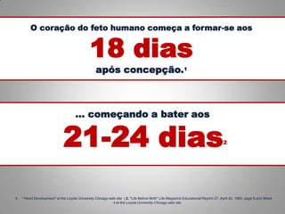 O coração do feto humano começa a formar-se aos
18 dias
após concepção.1
… começando a bater aos
​​21-24 dias2
1. “Heart Development” at the Loyola University Chicago web site | 2. "Life Before Birth" Life Magazine Educational Reprint 27, April 30, 1965, page 6.and Week
4 at the Loyola University Chicago web site
 