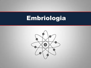 Embriologia
 