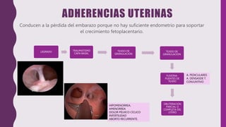 Capa Recurrente aborto recurrente FINAL.pptx