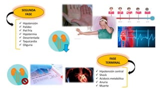 SEGUNDA
FASE
 Hipotensión
 Palidez
 Piel fría
 Hipotermia
 Desorientada
 Taquicardia
 Oliguria
FASE
TERMINAL
 Hipotensión central
 Shock
 Acidosis metabólica
 Anuria
 Muerte
 