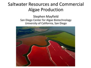 Saltwater Resources and Commercial
Algae Production
Stephen Mayfield
San Diego Center for Algae Biotechnology
University of California, San Diego
 