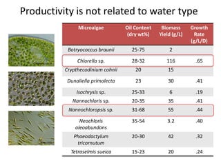 Productivity is not related to water type
Microalgae Oil Content
(dry wt%)
Biomass
Yield (g/L)
Growth
Rate
(g/L/D)
Botryoc...