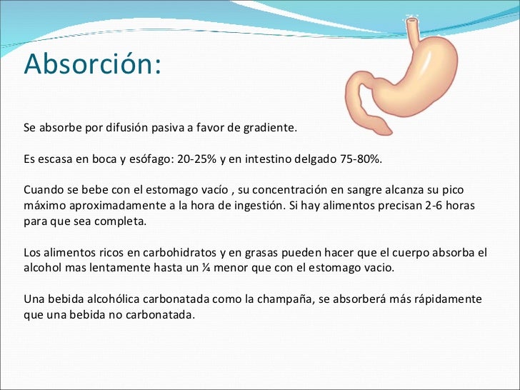 Absorción de alcohol