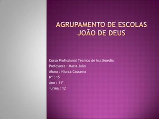 Curso Profissional Técnico de Multimédia
Professora : Maria João
Aluna : Niurca Cassama
Nº : 15
Ano : 11º
Turma : 12
 
