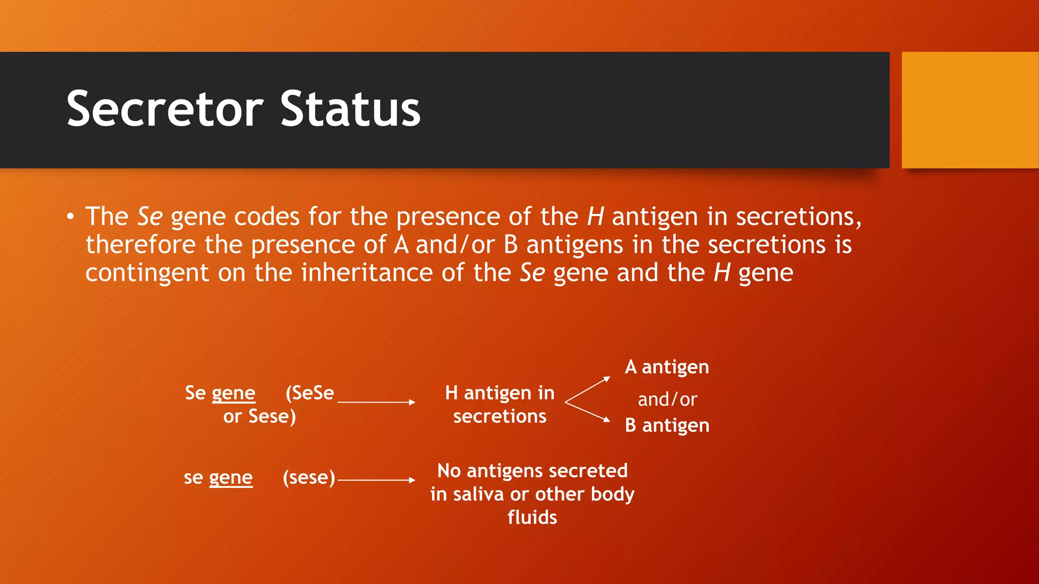 Secretor Status
• The Se gene codes for the presence of the H antigen in secretions,
therefore the presence of A and/or B antigens in the secretions is
contingent on the inheritance of the Se gene and the H gene
Se gene (SeSe
or Sese)
H antigen in
secretions
A antigen
B antigen
se gene (sese) No antigens secreted
in saliva or other body
fluids
and/or
 