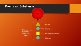 Precursor Substance
Glucose
Galactose
N-acetylglucosamine
Galactose
Precursor
Substance
(stays the
same)
RBC
 
