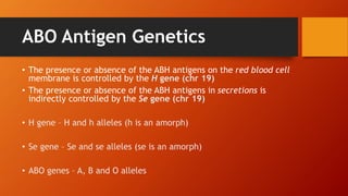 ABO Antigen Genetics
• The presence or absence of the ABH antigens on the red blood cell
membrane is controlled by the H gene (chr 19)
• The presence or absence of the ABH antigens in secretions is
indirectly controlled by the Se gene (chr 19)
• H gene – H and h alleles (h is an amorph)
• Se gene – Se and se alleles (se is an amorph)
• ABO genes – A, B and O alleles
 