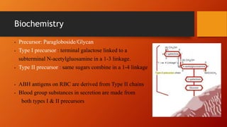Biochemistry
• Precursor: Paragloboside/Glycan
• Type I precursor : terminal galactose linked to a
subterminal N-acetylgluosamine in a 1-3 linkage.
• Type II precursor : same sugars combine in a 1-4 linkage
• ABH antigens on RBC are derived from Type II chains
• Blood group substances in secretion are made from
both types I & II precursors
 
