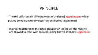 PRINCIPLE
• The red cells contain different types of antigens( agglutinogen),while
plasma contains naturally occurring antibodies (agglutinins)
• In order to determine the blood group of an individual ,the red cells
are allowed to react with sera containing known antibody (agglutinin)
 