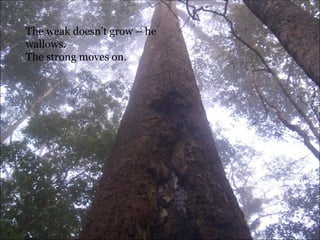 The weak doesn’t grow – he wallows.  The strong moves on. 