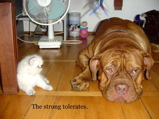 The strong tolerates. 
