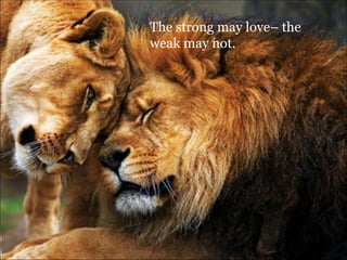 The strong may love– the weak may not. 