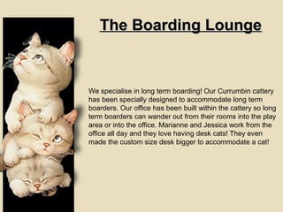 The Boarding LoungeThe Boarding Lounge
We specialise in long term boarding! Our Currumbin cattery
has been specially designed to accommodate long term
boarders. Our office has been built within the cattery so long
term boarders can wander out from their rooms into the play
area or into the office. Marianne and Jessica work from the
office all day and they love having desk cats! They even
made the custom size desk bigger to accommodate a cat!
 