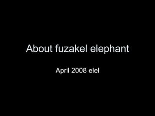 About fuzakel elephant April 2008 elel 