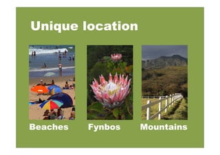 Unique location
Beaches Fynbos Mountains
 