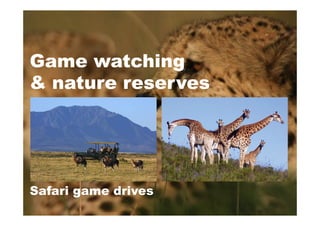 Game watching
& nature reserves
Safari game drives
 