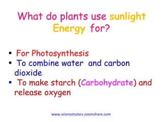 What do plants use  sunlight Energy  for? www.sciencetutors.zoomshare.com   For Photosynthesis To combine water  and carbon dioxide To make starch ( Carbohydrate ) and release oxygen 