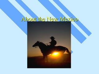 About the New Mexico 