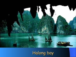Halong bay 