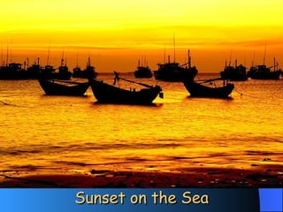 Sunset on the Sea 