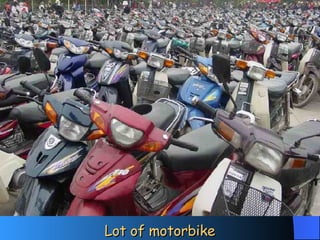 Lot of motorbike 
